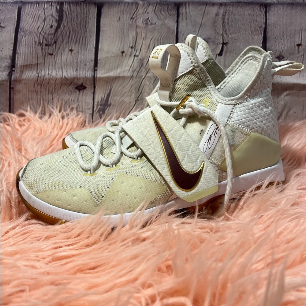 Nike Lebron Basketball Ball Shoes